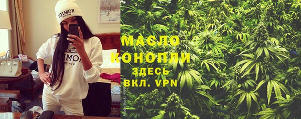 гашик Арсеньев