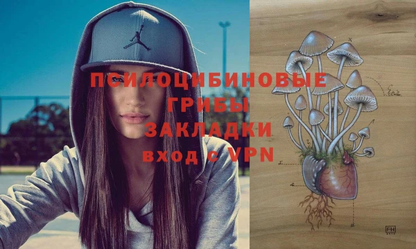 метадон Армянск
