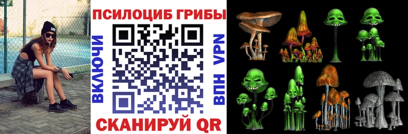 mega зеркало  Нурлат  Галлюциногенные грибы MAGIC MUSHROOMS  где продают  